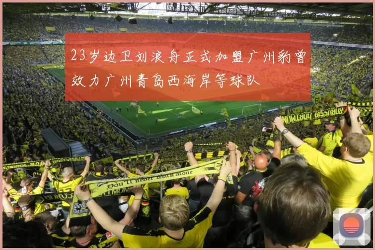 23岁边卫刘浪舟正式加盟广州豹曾效力广州青岛西海岸等球队
