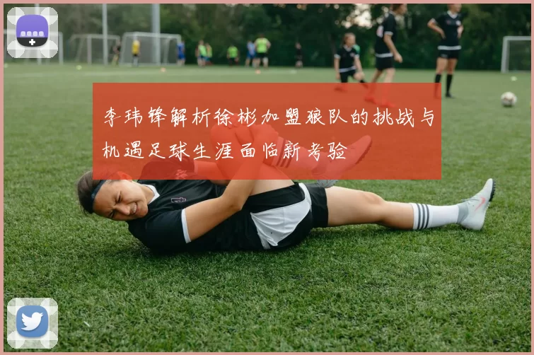 李玮锋解析徐彬加盟狼队的挑战与机遇足球生涯面临新考验